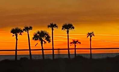 beautiful gulf sunset