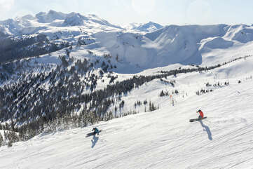 Skiing in Whistler
Credit: Tourism Whistler / Ben Girardi