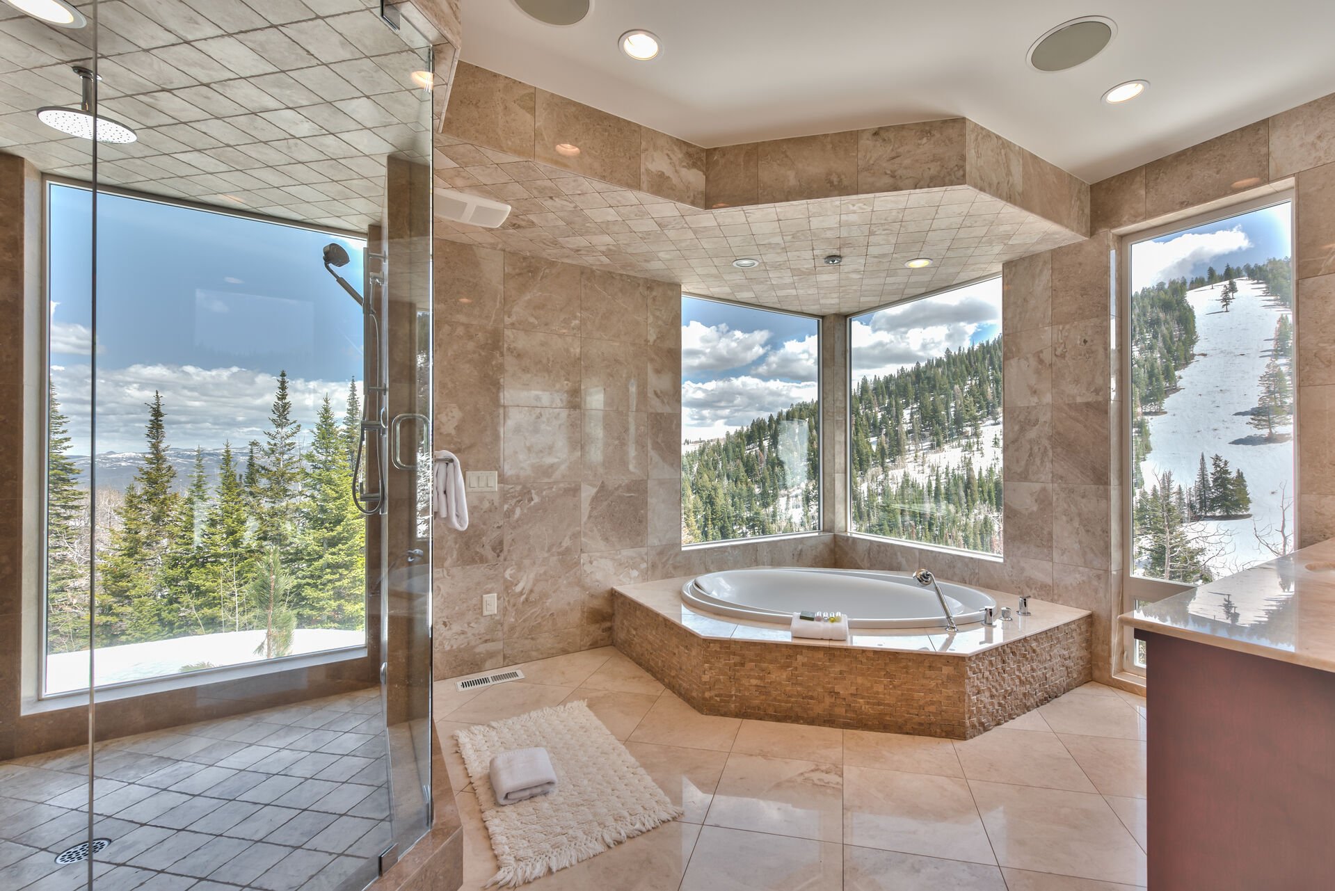 Steam Shower with Floor to Ceiling Views