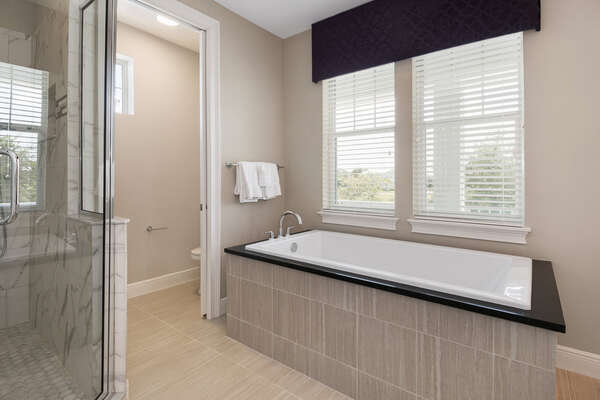 Master suite bathroom with large walk in shower, garden tub, and dual vanity