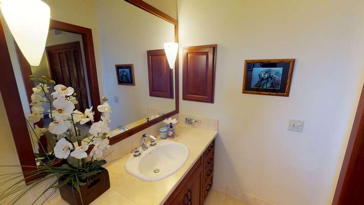 Wall Hung Bathroom Cabinet with Single Sink