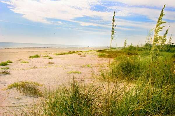 Sanibel beaches are voted the best!