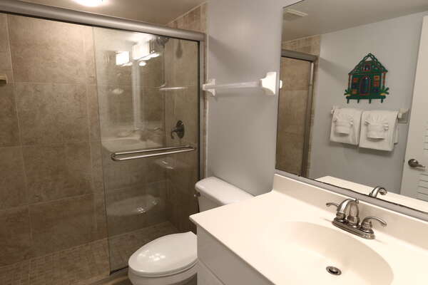 Guest Bathroom with walk-in shower