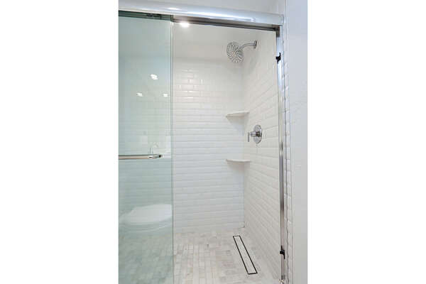 Guest Bathroom walk in shower