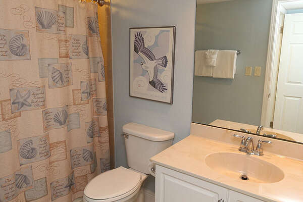 Guest Bathroom with tub/shower combination