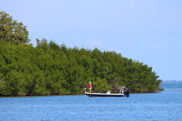 Mangrove fishing, photo taken prior to Hurricane Ian