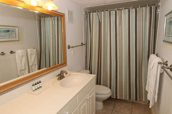 Large master bathroom has all the comforts of home!