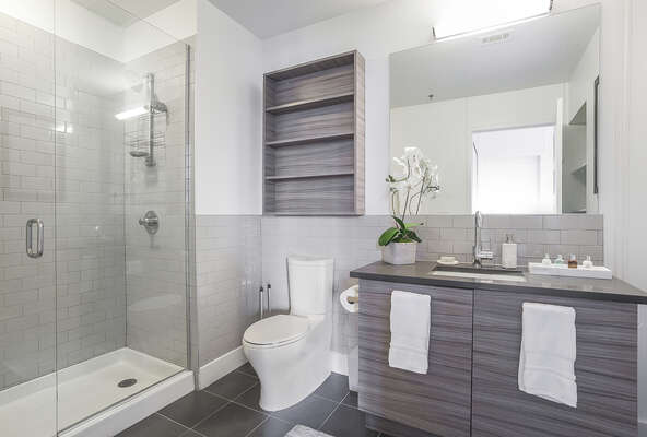 Bathroom of this Ponce Market Apartment, with vanity sink and toilet beside a walk-in shower.