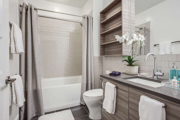 Guest Bathroom Features at Tub/Shower Combo