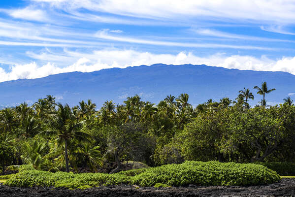 View of Mt. Hualalai