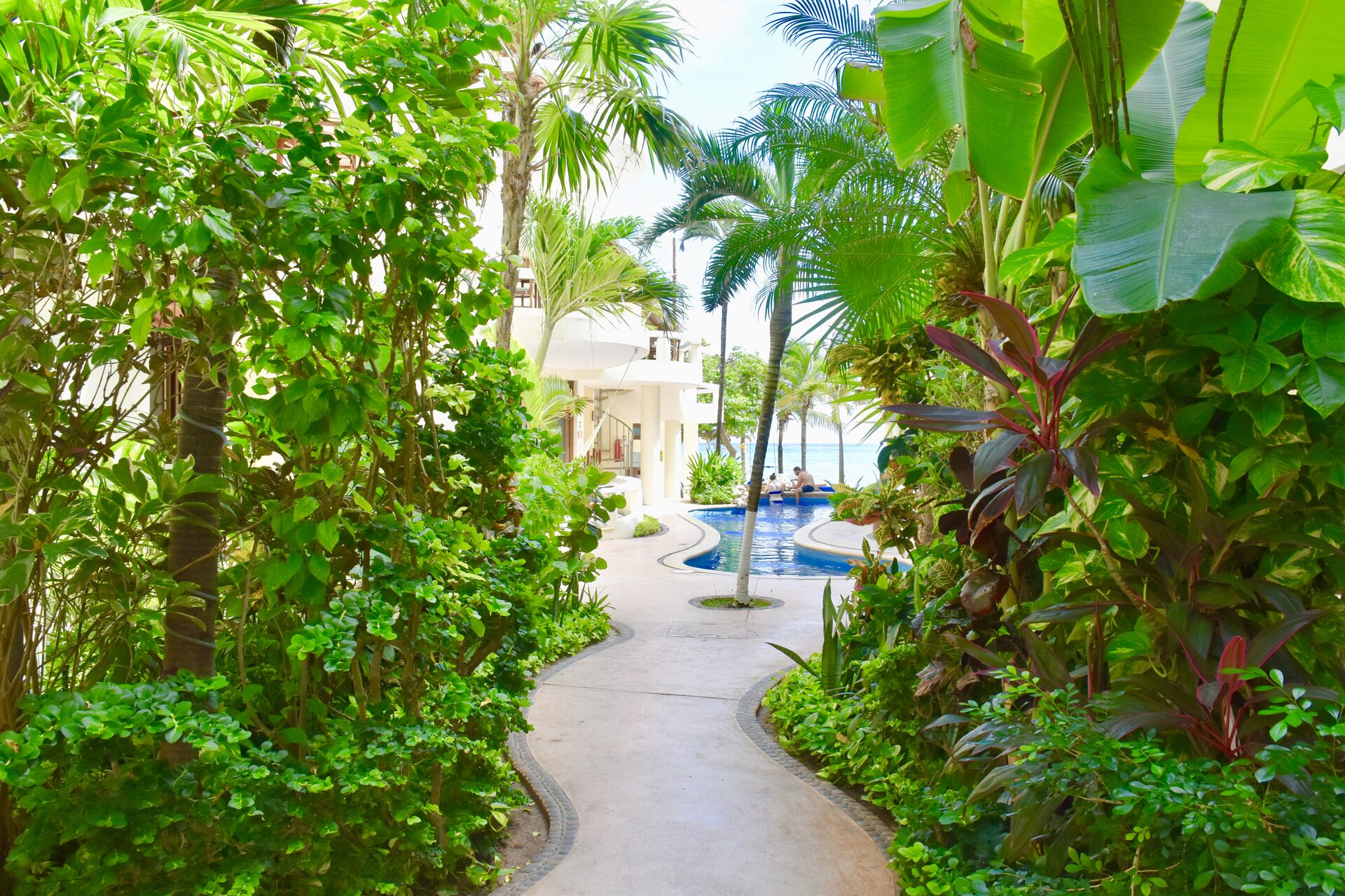Playa Palms Beach Hotel garden area.
