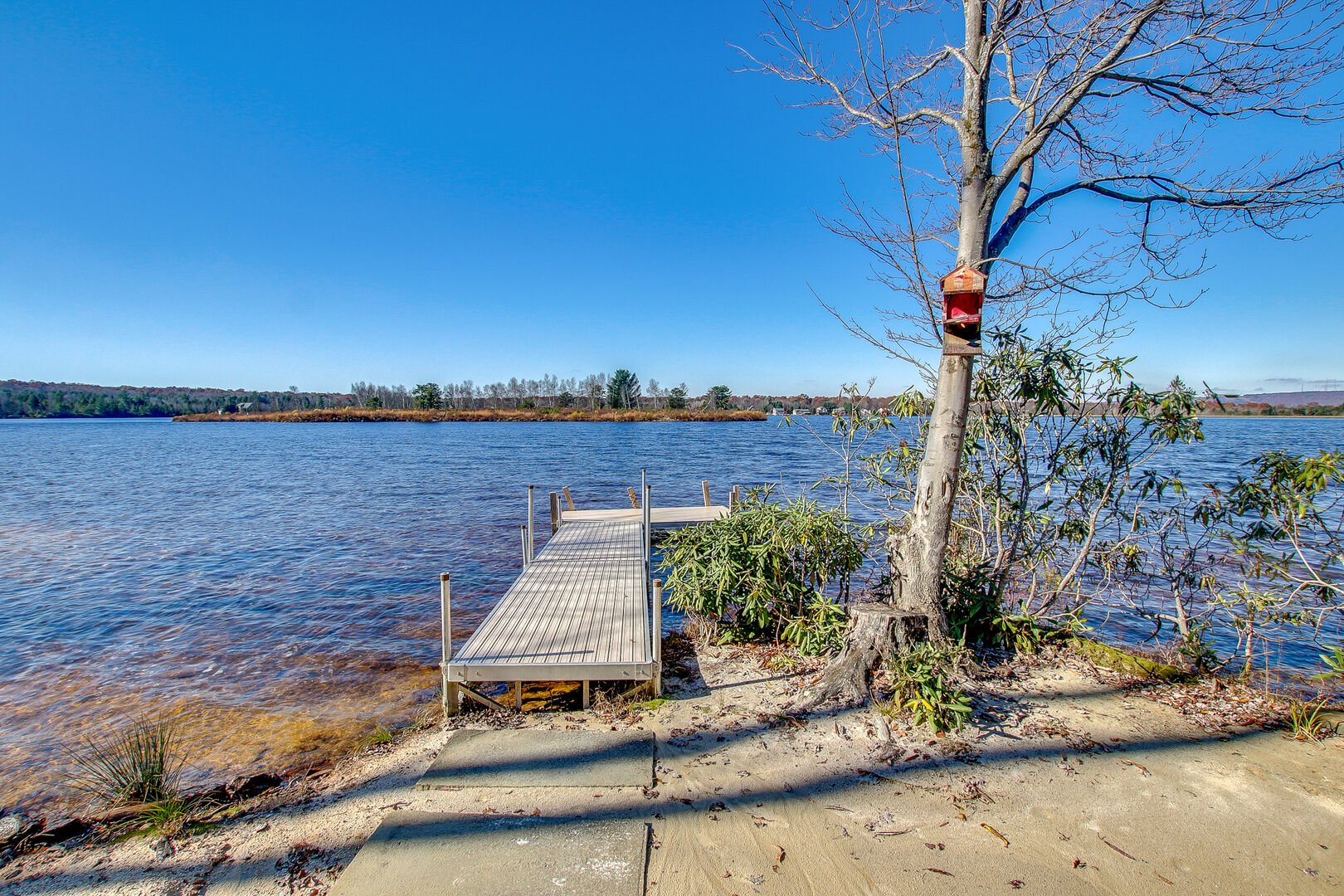 A tree and dock by the lake, located steps away from this rental.