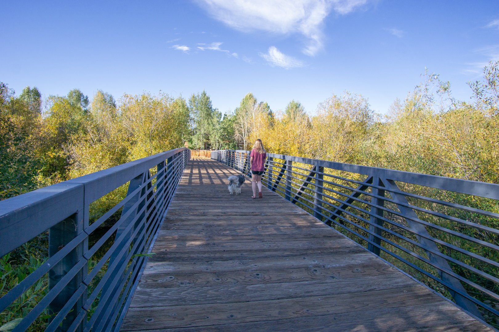 The Steamboat Springs Core Trail is Just a Few Steps from Indian Meadows Getaway