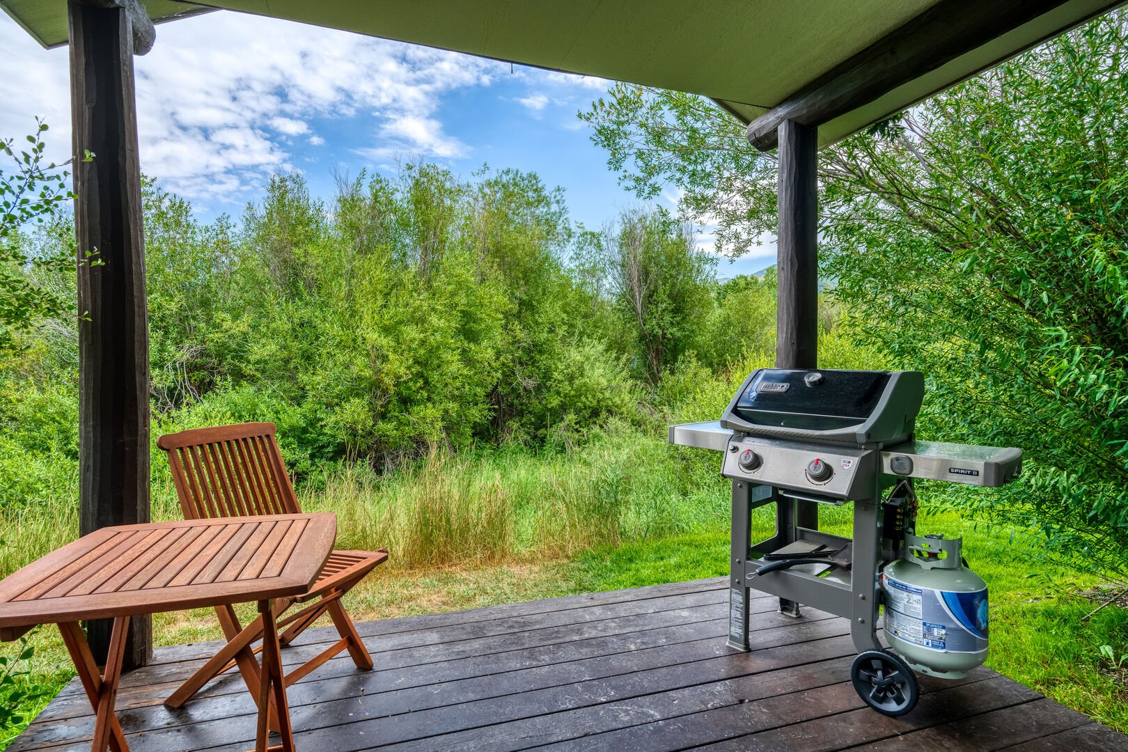Looking Out from the Covered Back Deck with a Grill