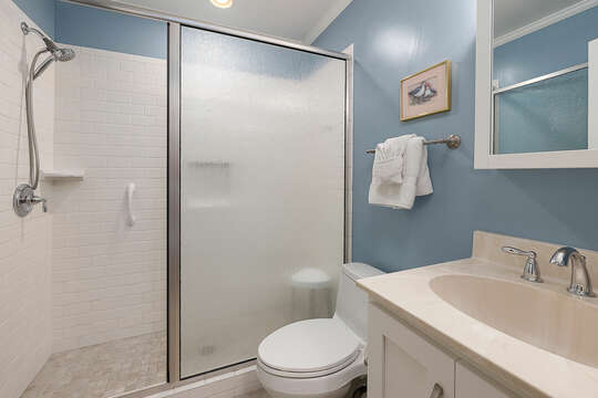 Hall Bathroom with walk-in shower