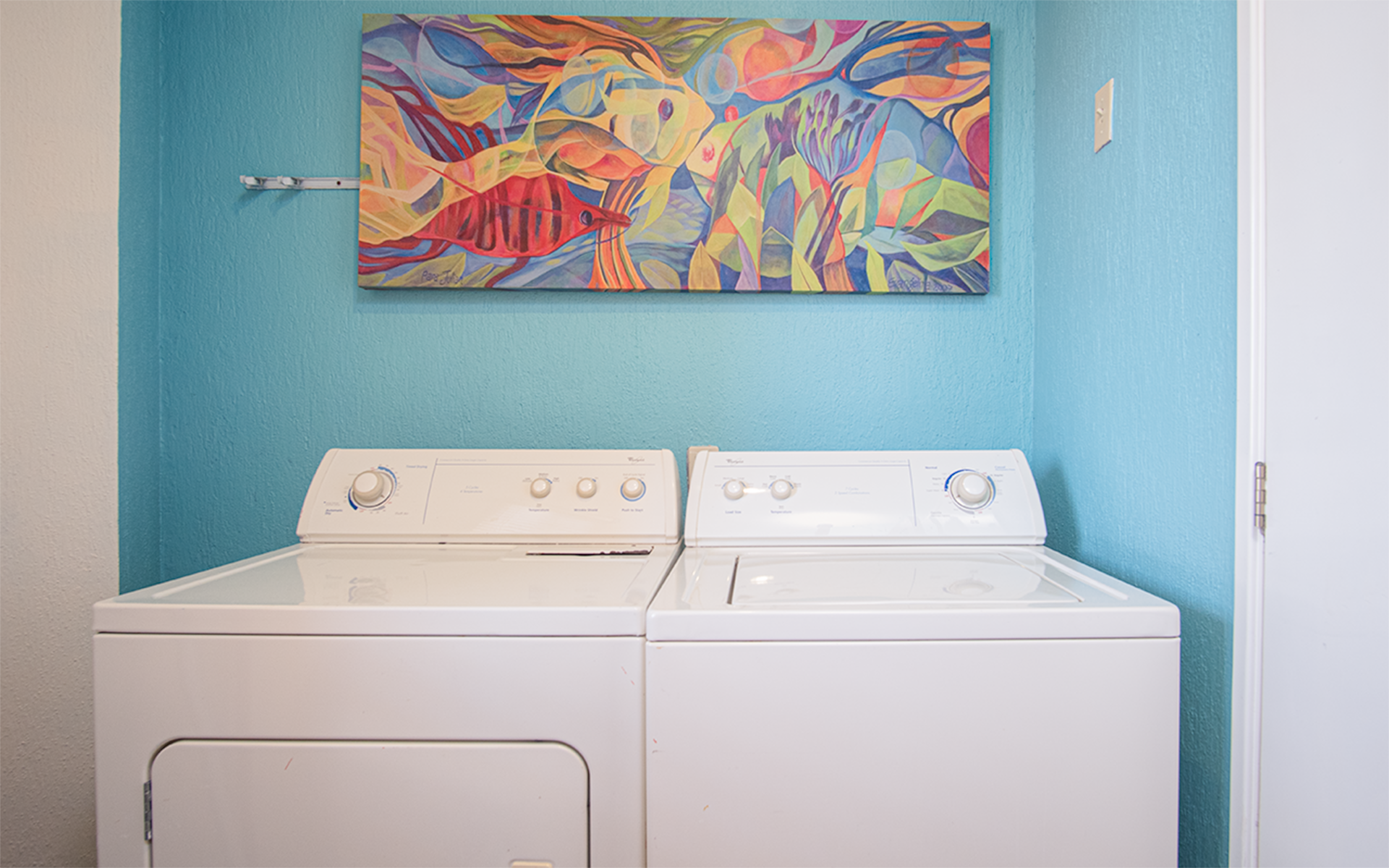 washer and dryer in separate utility room