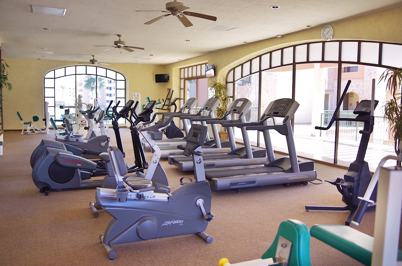 This gyn has tread mills, a variety of machines, as well as dumbbell set