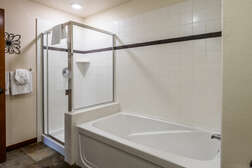 Master Bathroom- En-suite- Shower and Tub