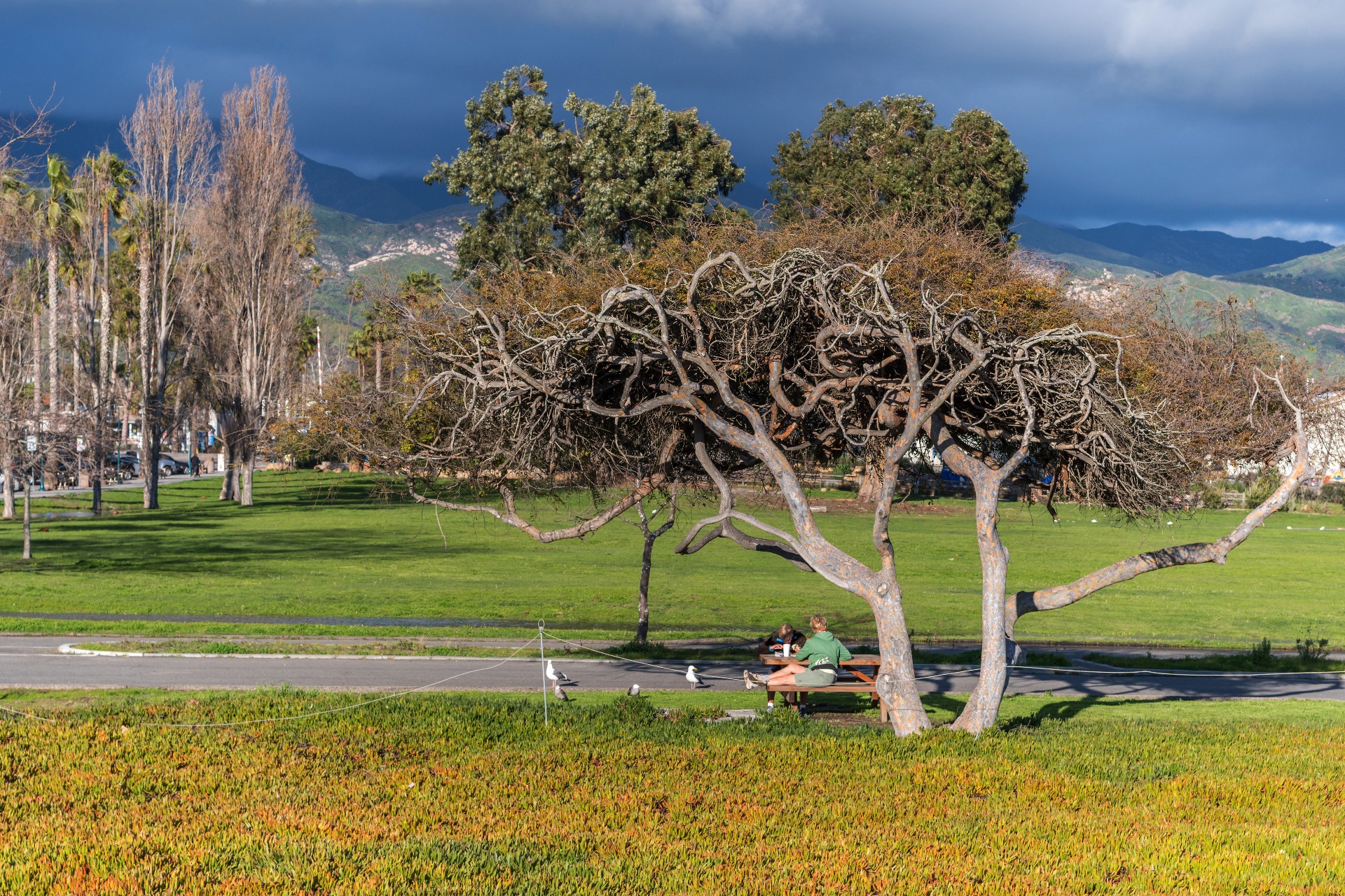 Carpinteria State Beach park has a large grass field, picnic tables and grills.