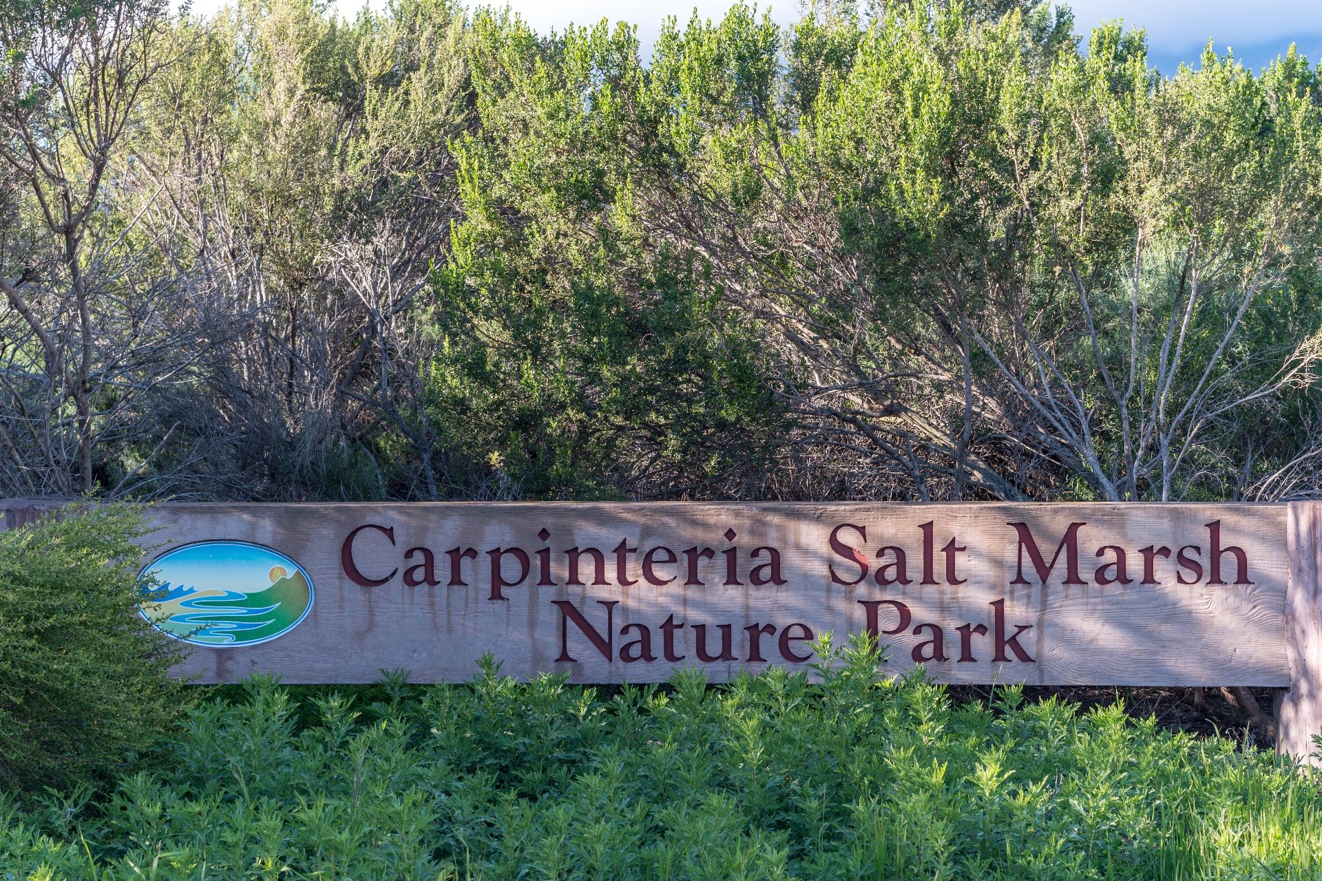 The Carpinteria Salt Marsh is a nice nature hike right next door to this condo.