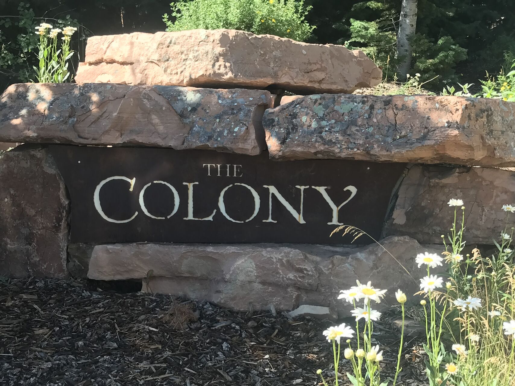 The Exclusive Colony Gated Community