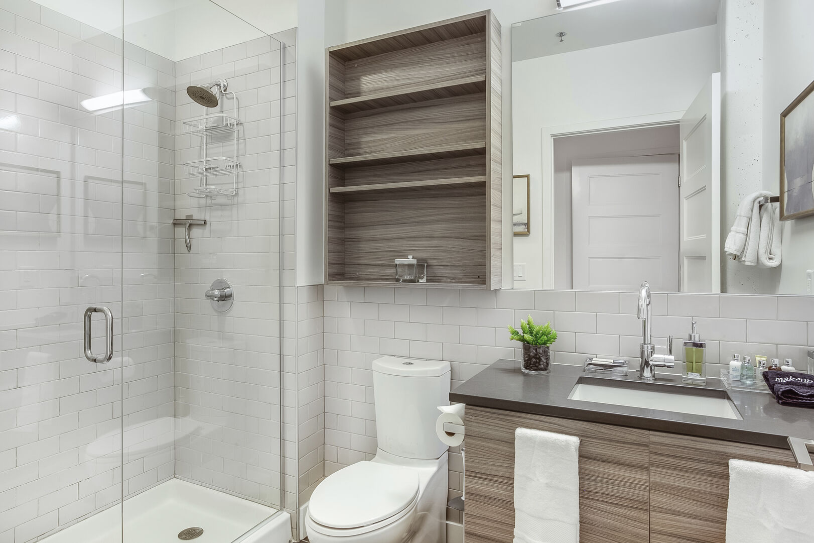 Master Bathroom with Walk-in Shower, Toilet, and Vanity