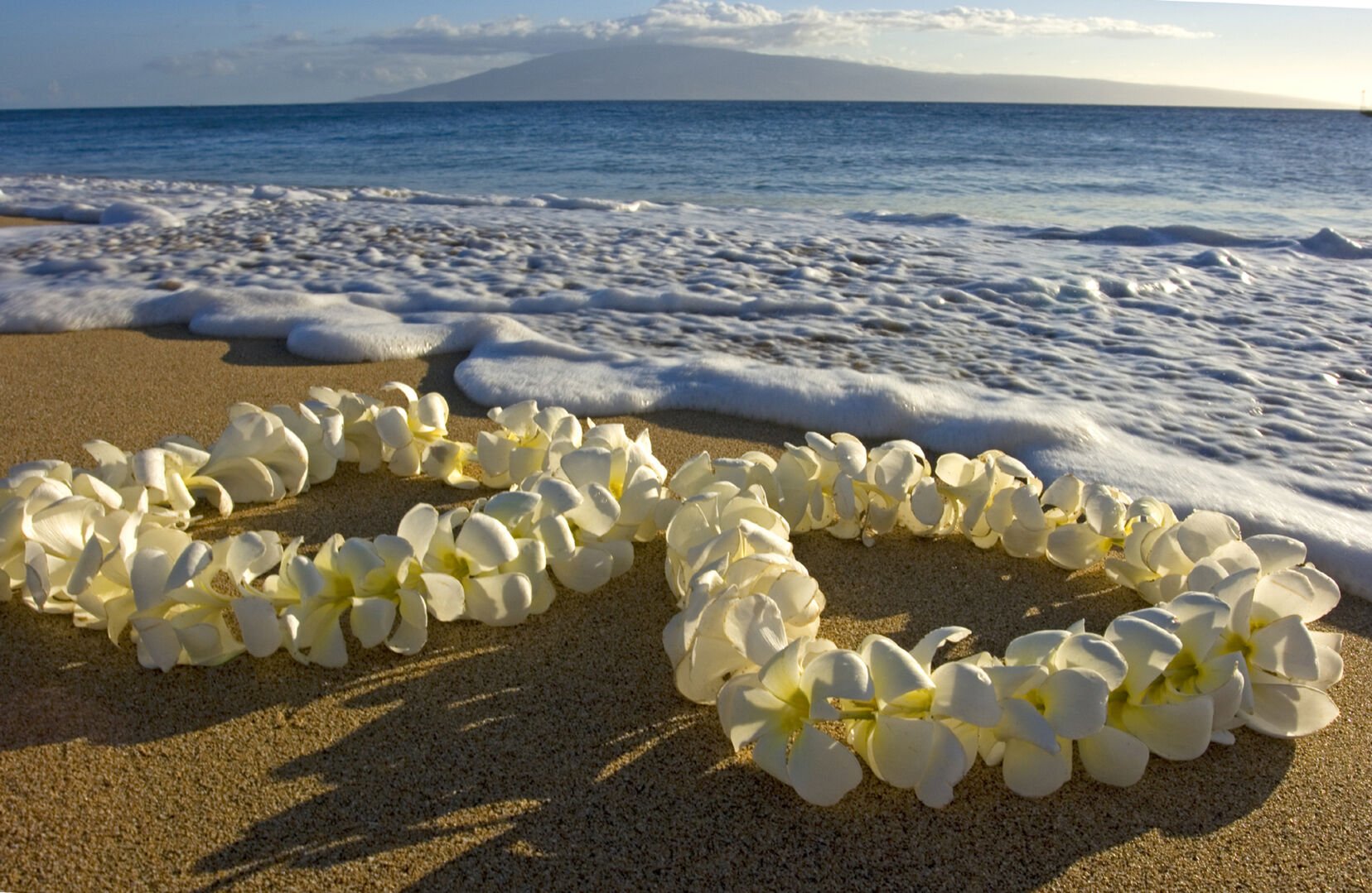 Hawaii's traditional greeting of affection, fresh flower leis