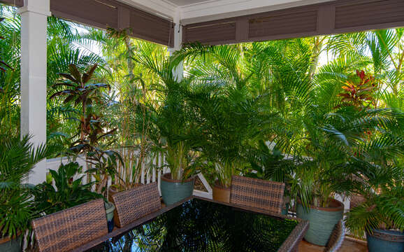 Foliage and outdoor dining area at this Ko Olina rental