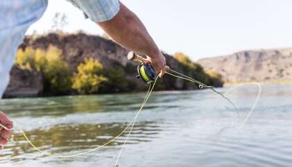 Fly fish Henry's Fork of the Snake River