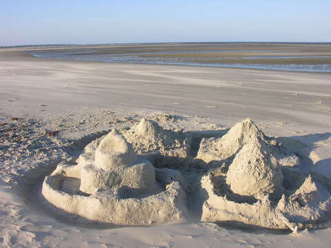 A Large Sand Castle on Beach.