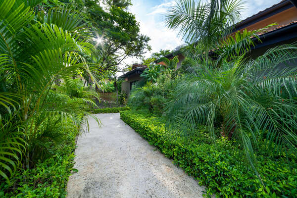 As you step through, you'll feel like you're embarking on a jungle adventure.