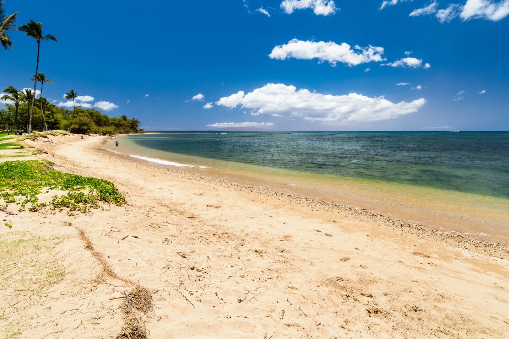 Beautiful Maui day