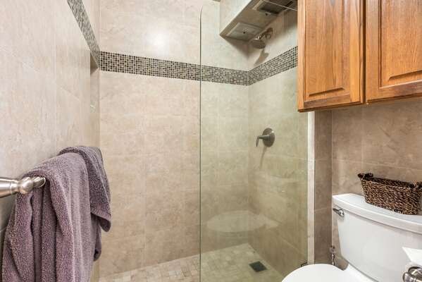 Walk in shower