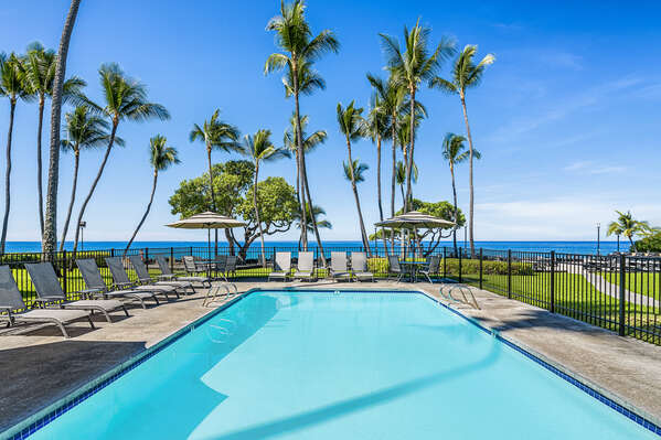 Resort Pool with Ocean View