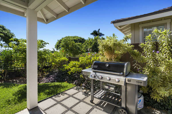Grill on the back lanai.