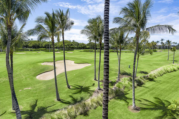 Fairway Views with Palm Trees and Bunkers