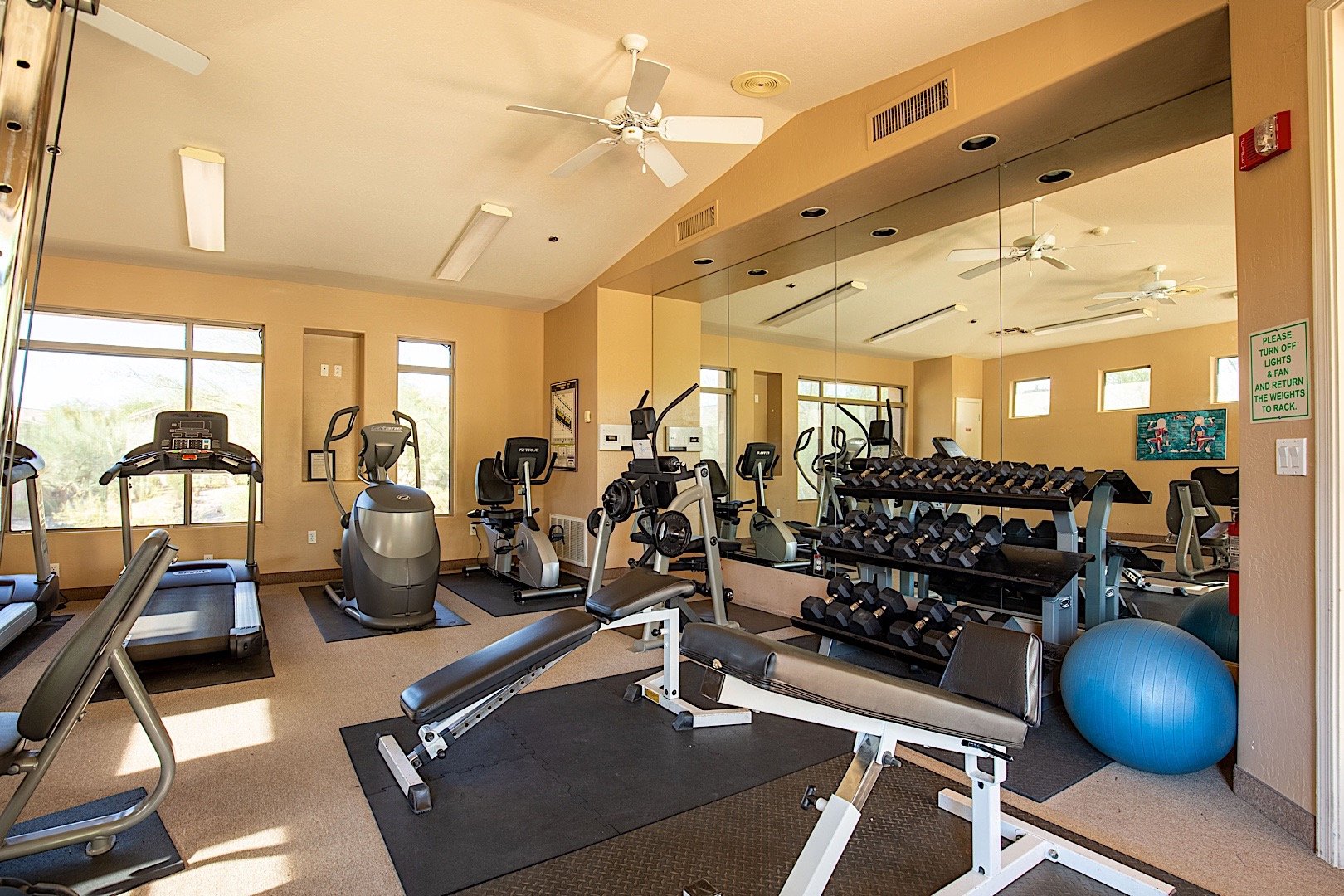 Cardio equipment and free weights