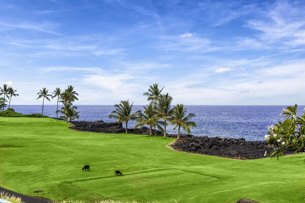 Beautiful ocean view from Holua Kai #23