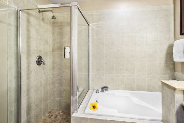 En-suite Master Bathroom with Walk-in Shower and Separate Tub