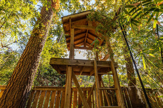 Treehouse in the backyard