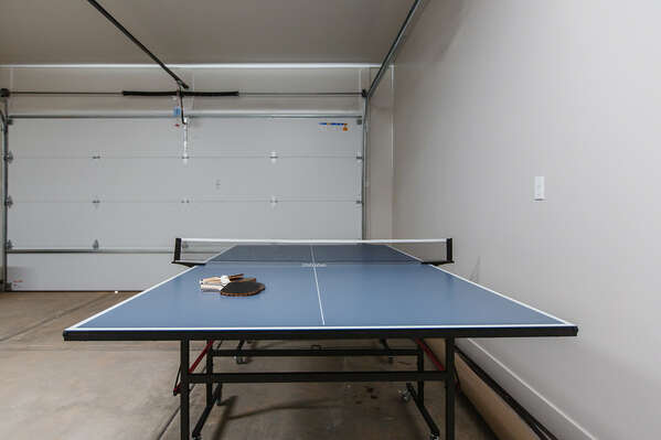 Private Ping-Pong set in Garage