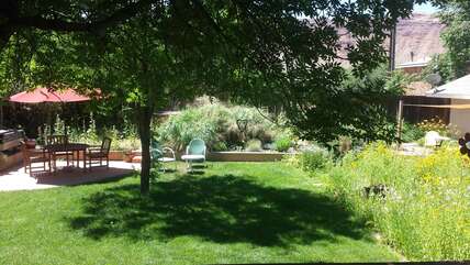Shared Yard