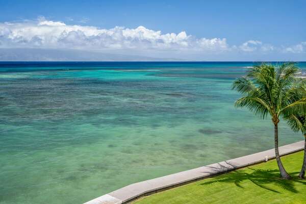 Beautiful Maui day