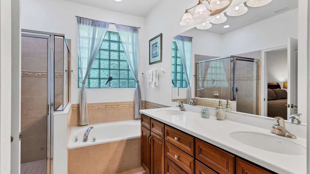 Master bathroom with separate shower/tub