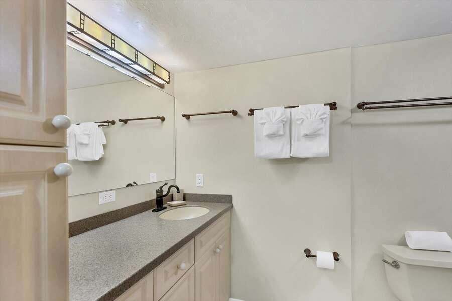 Primary bathroom with large vanity and walk-in shower