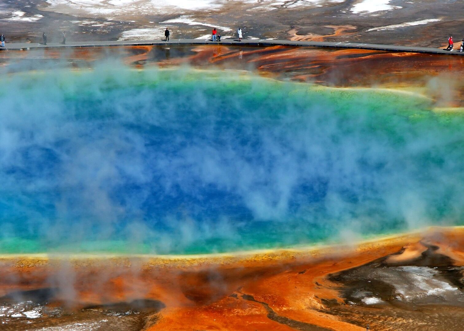 Henrys Hawk ~ make sure to visit the Grand Prismatic Spring in Yellowstone