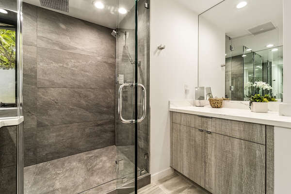 Bathroom Walk-in Shower and Vanity Area