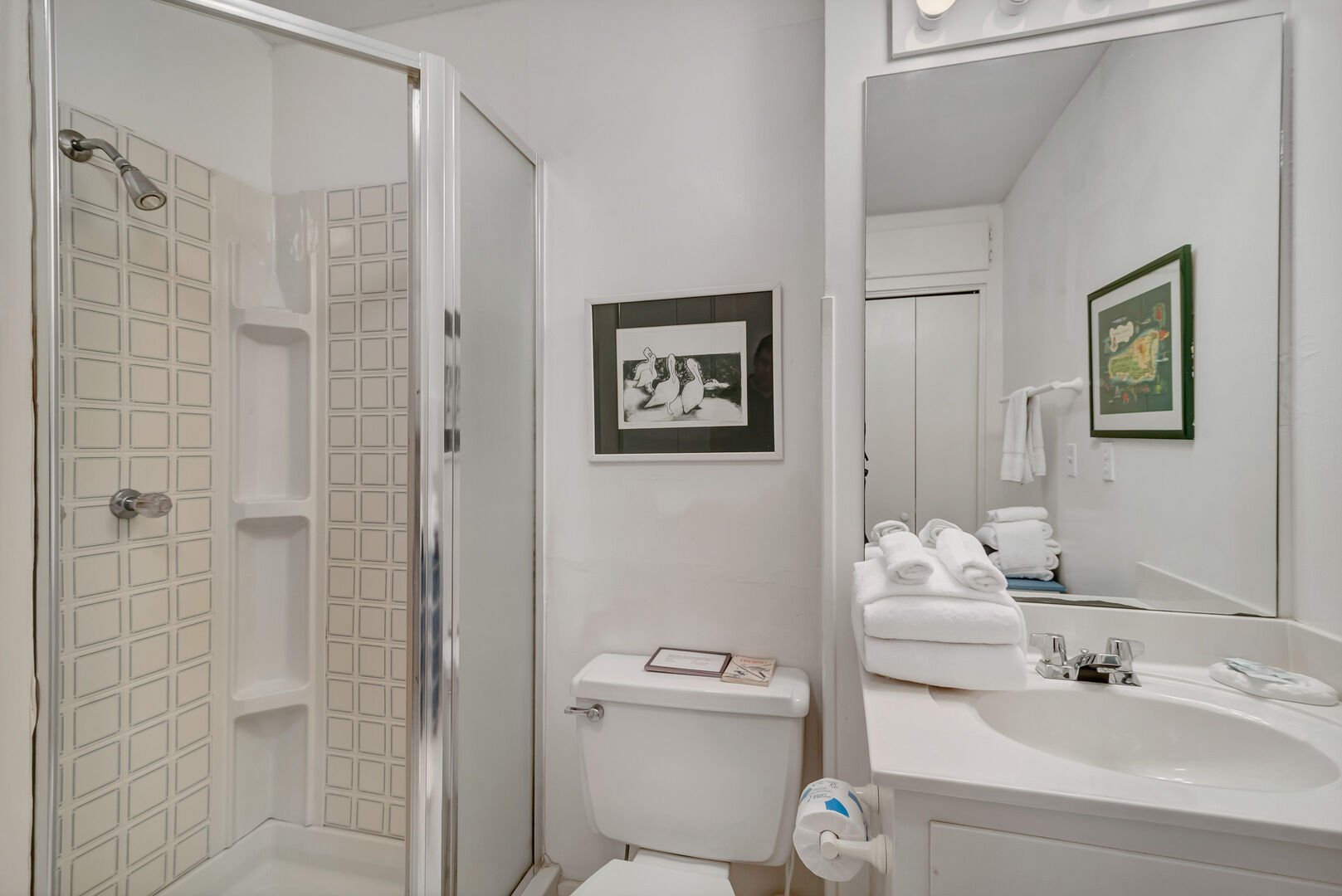 Full Guest Bathroom with Walk In Shower