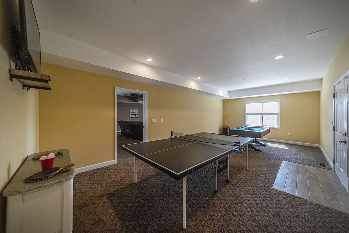 Ping Pong and Pool Table