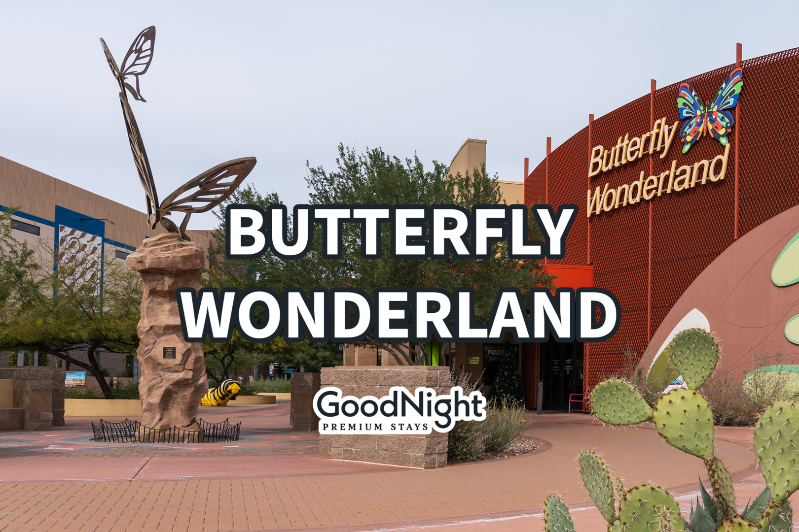 15 mins: Butterfly Wonderland - Largest Butterfly Conservatory in America